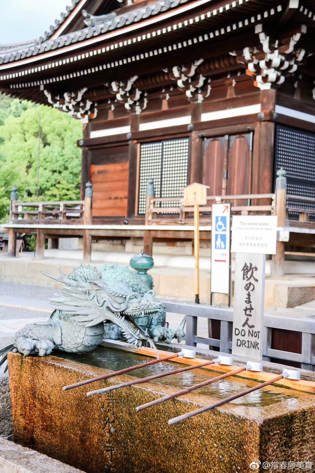 常春藤日本研学营（四）清水寺-平安时代之代表建筑物