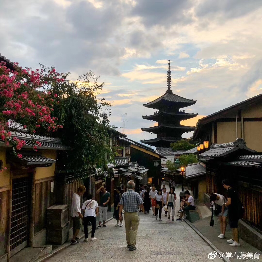 常春藤日本研学营（五）日是东方建筑美学