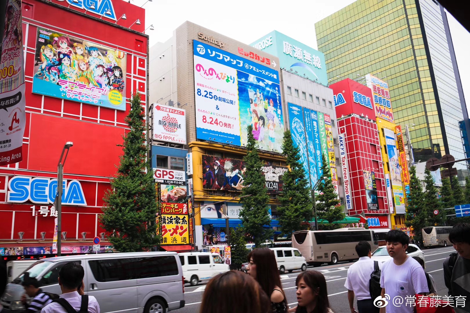 常春藤日本研学营（十一）秋叶原「动漫」一条街