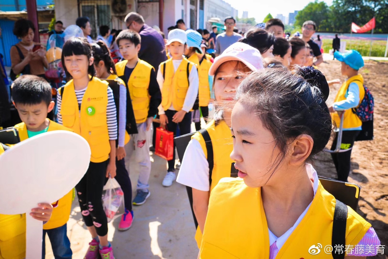 常春藤·山东省农科院实验基地写生学习活动