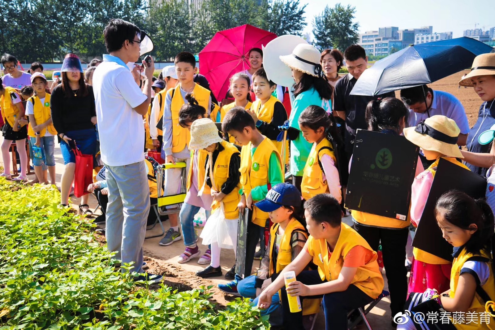 常春藤·山东省农科院实验基地写生学习活动