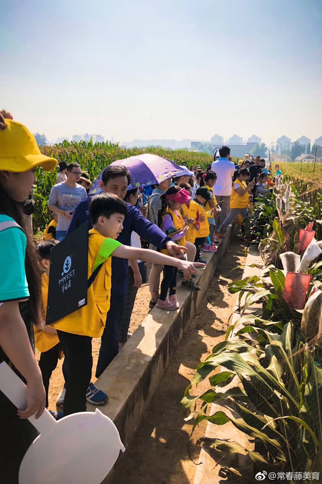 常春藤·山东省农科院实验基地写生学习活动