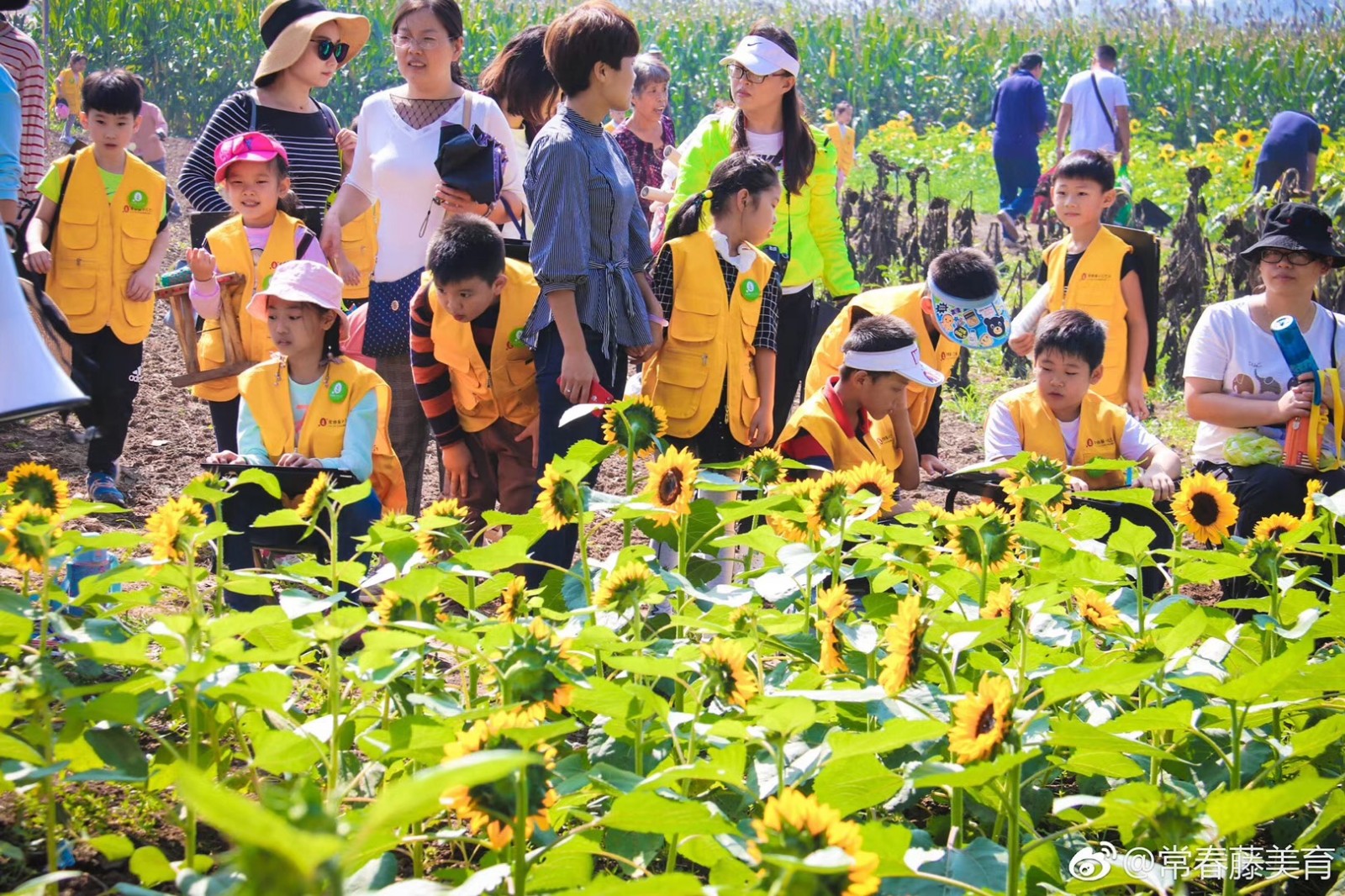 常春藤·山东省农科院实验基地写生学习活动