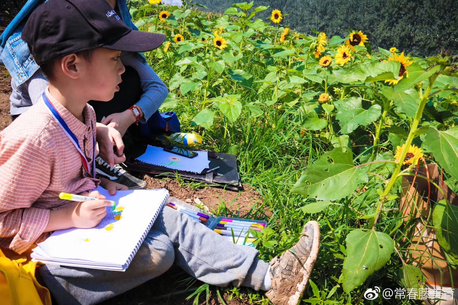 常春藤·山东省农科院实验基地写生学习活动