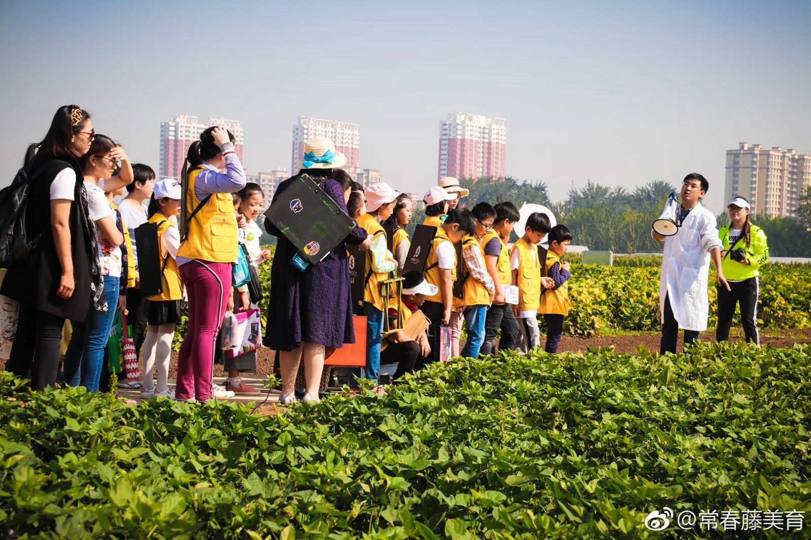 常春藤·山东省农科院实验基地写生学习活动