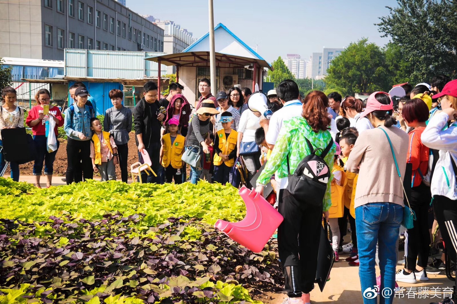 常春藤·山东省农科院实验基地写生学习活动