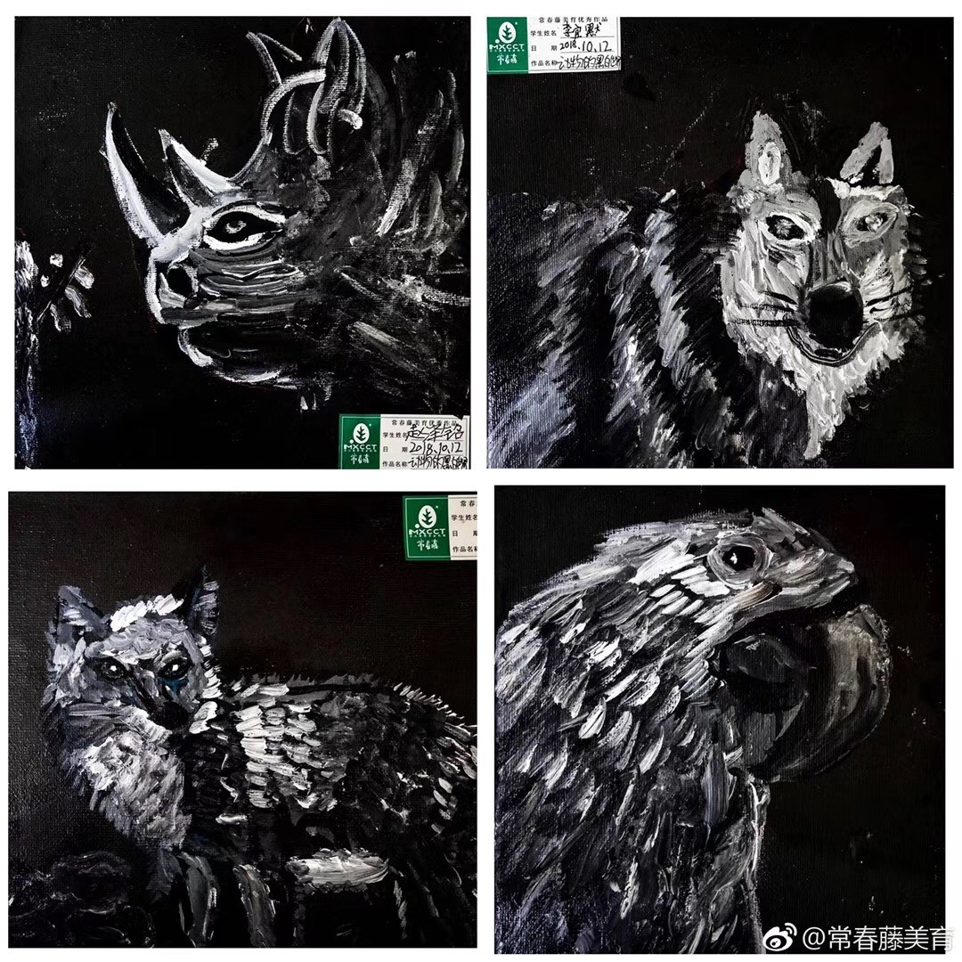 🌠常春藤|少儿综绘基础班，色彩提炼主题课程[动物的世界]