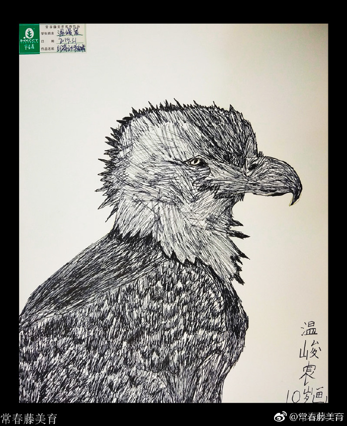 常春藤少儿综绘｜动物的脸🐒🦓