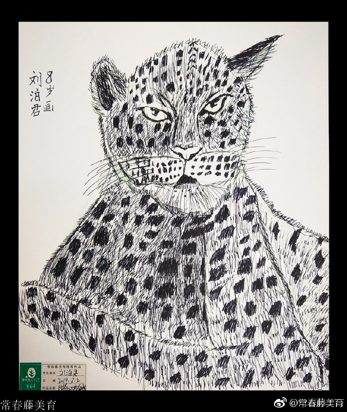 常春藤少儿综绘｜动物的脸🐒🦓