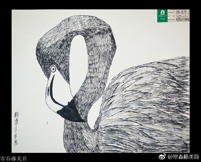 常春藤少儿综绘｜动物的脸🐒🦓