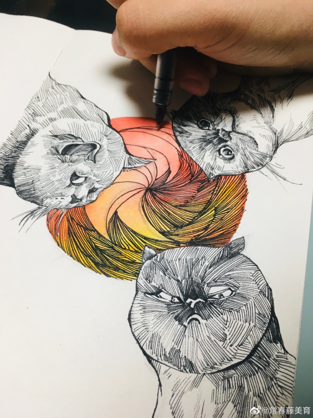 常春藤的老师们在家防疫期间 每日一画✨