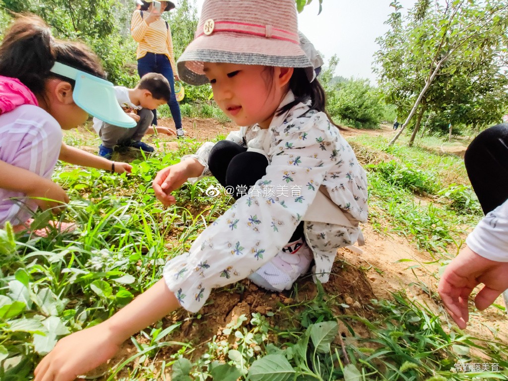 IVY ART 2020 家庭艺术美学成长计划 【第二期 】🌾 🌾