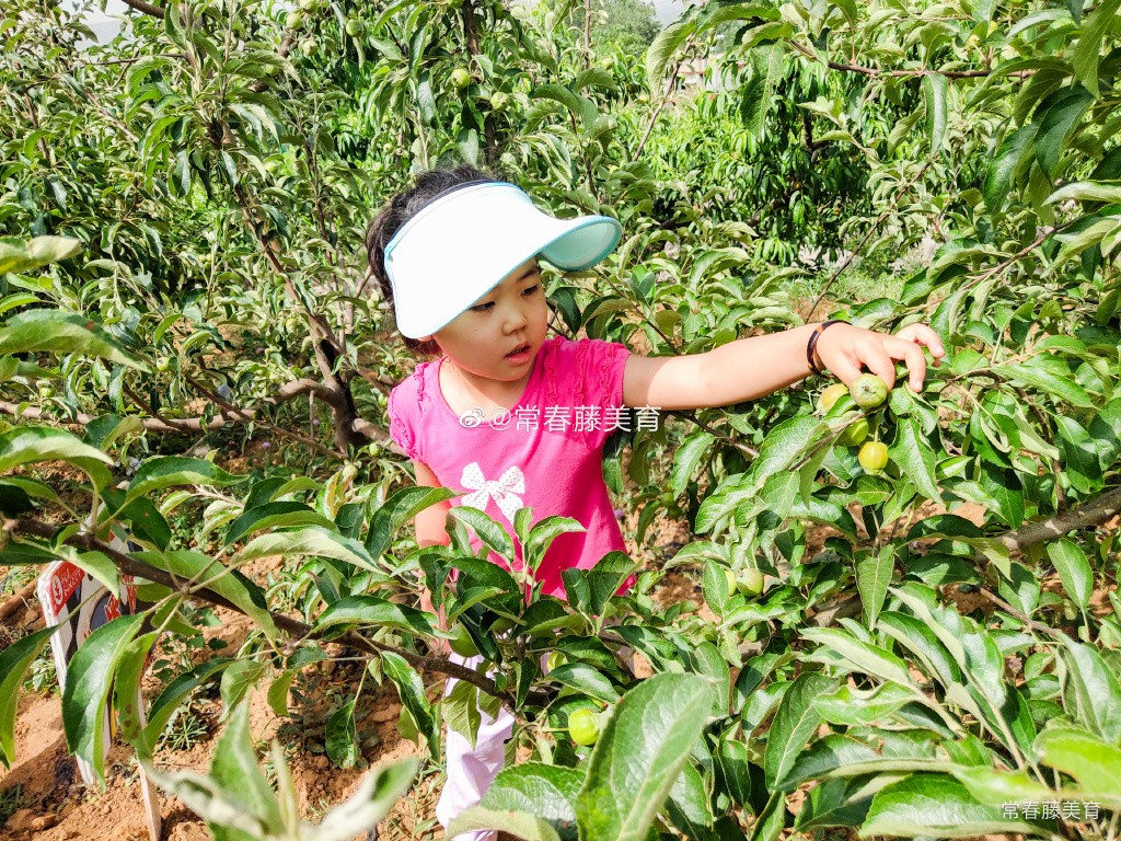IVY ART 2020 家庭艺术美学成长计划 【第二期 】🌾 🌾