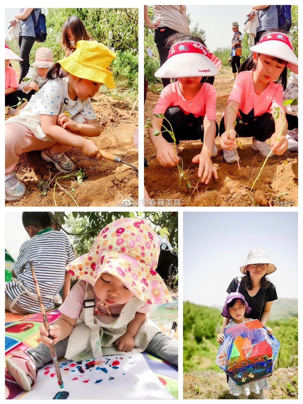 IVY ART 2020 家庭艺术美学成长计划 【第二期 】🌾 🌾