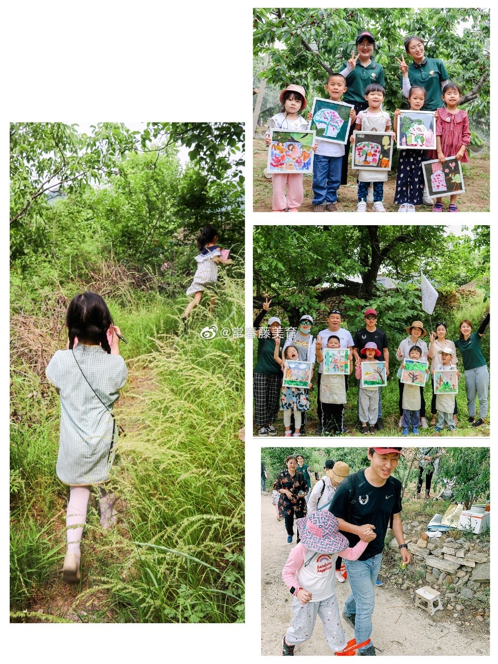 常春藤美育｜家庭美学成长计划