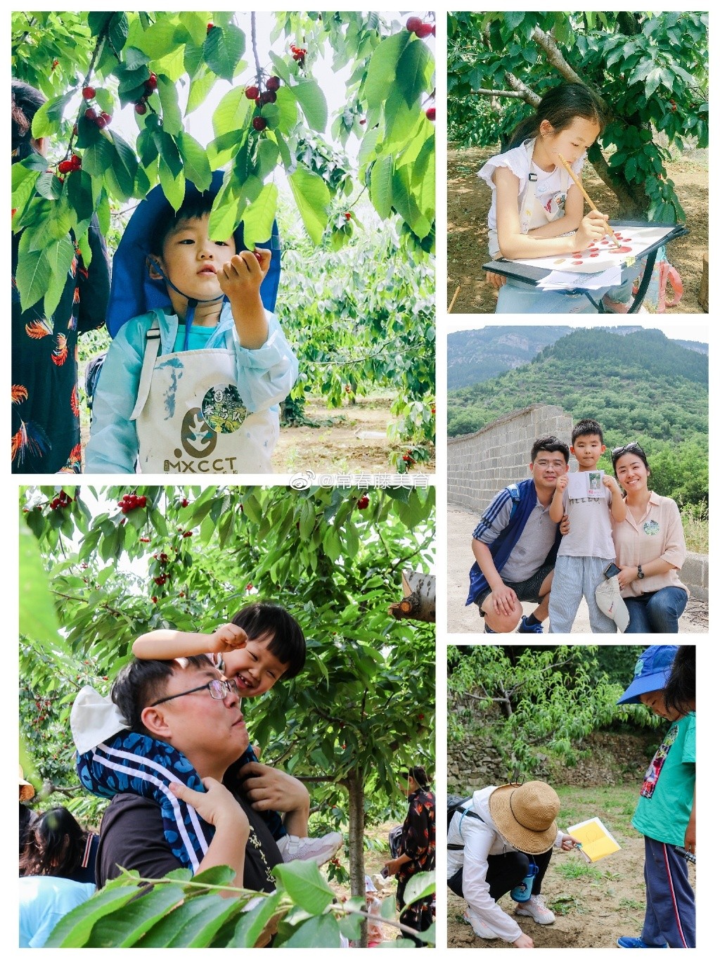 常春藤美育｜家庭美学成长计划