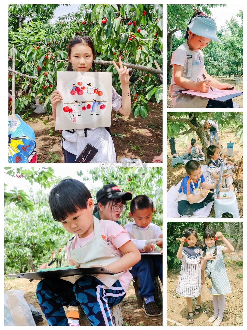 常春藤美育｜家庭美学成长计划