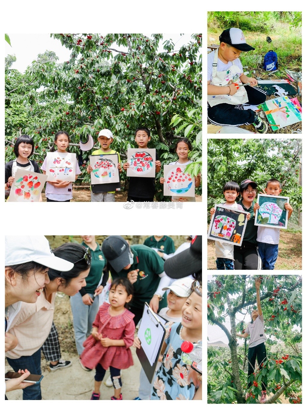常春藤美育｜家庭美学成长计划