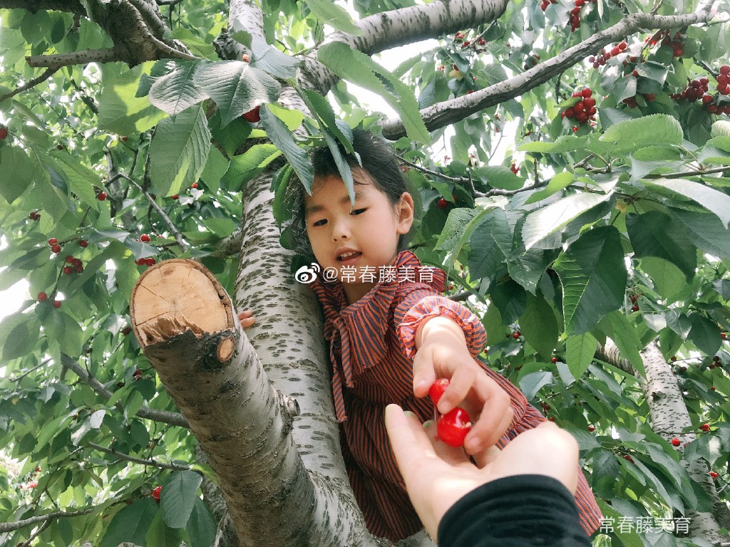 常春藤美育｜家庭美学成长计划